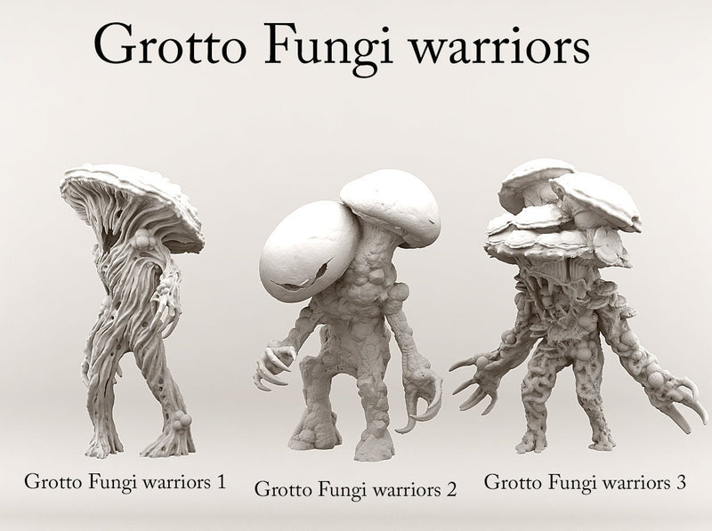 Fungi Warriors | Grotto 