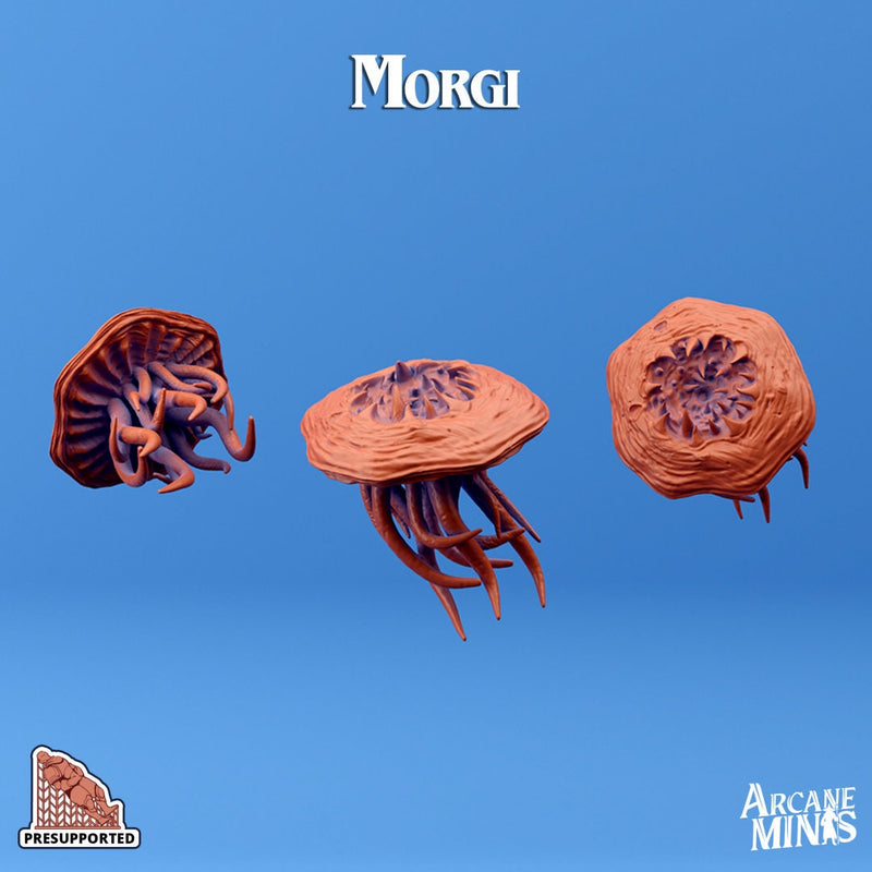 Morgius & Morgi | RESIN - Arcane Minis - Skies of Sordane - Airship Campaign - Aldarra - Dungeons and Dragons - Flying Creatures