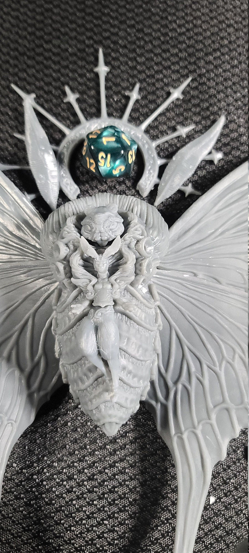 Pontifex Psilomonedes the Noctuoidea 'Owl Moth' High Priest | 32mm