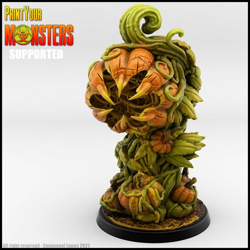 Pumpkin Plant | Killer Gourd