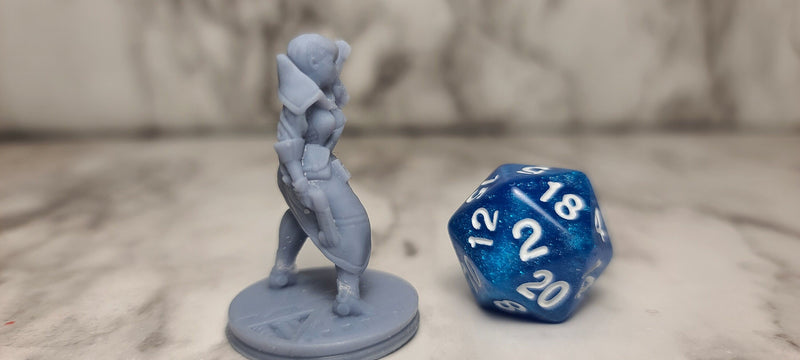 Female Bounty Hunter RESIN | Ignis Quadrant-, Dungeons and Dragons, Pathfinder, Frostgrave, Mordheim