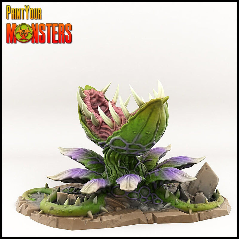 Classic Carnivorous Plant | 2 Versions