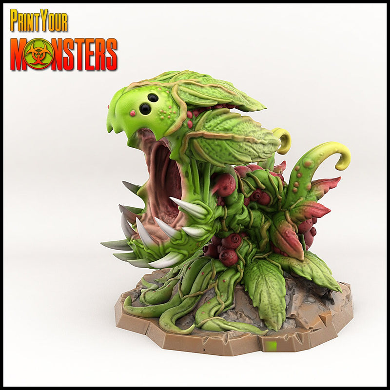 Baby Carnivorous Plant | 2 Versions